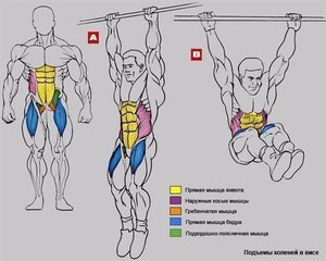 Прокачка пресса на турнике