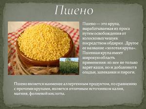 Пшено - регулятор работы систем организма 