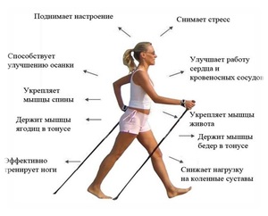 Скандинавская ходьба  