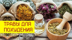 Список лечебных трав