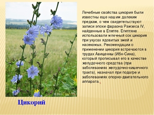 Способ приготовления напитка