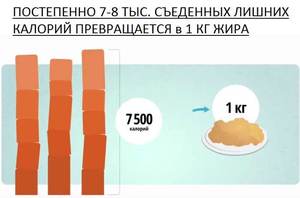 Как сжигать калории
