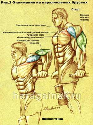 Техника тренировки на турнике