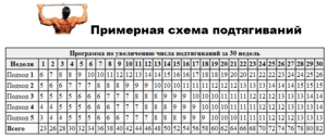 Тренировки на турнике