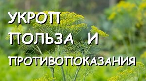 Как употреблять кроп