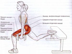 Варианты приседаний