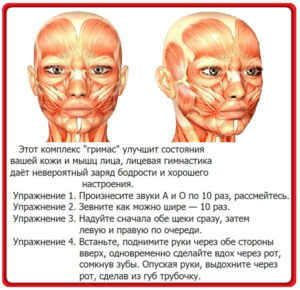 Как выполнять упражнения