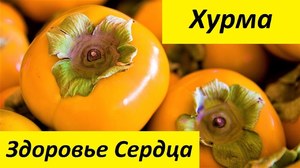 В чем заключается польза хурмы