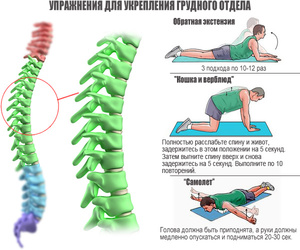 Как заниматься гимнастикой