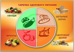 Здоровый рацион