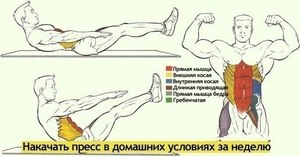 Женский пресс 