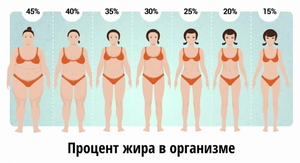 Жировая масса