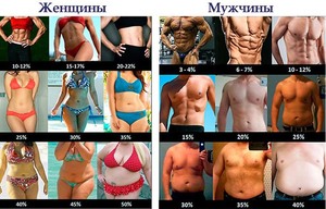 Жировая ткань и мужчин