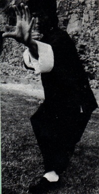 Брюс Ли Брюс Ли