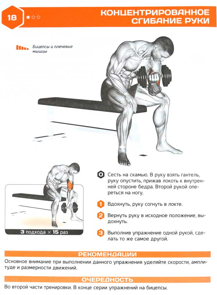 Концентрированные сгибания рук