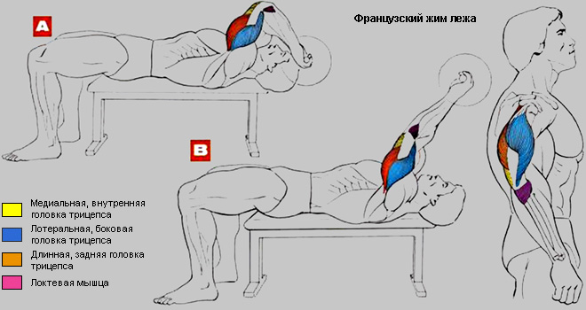 Французский жим