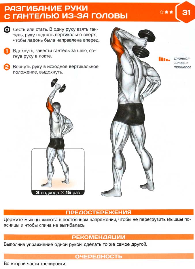 Разгибание рук с гантелью стоя/сидя