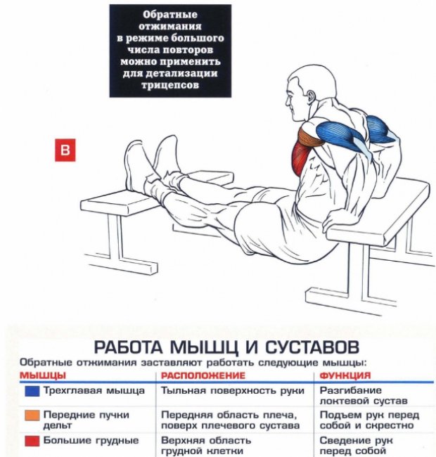 Обратные отжимания