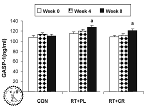 креатин и миостатин