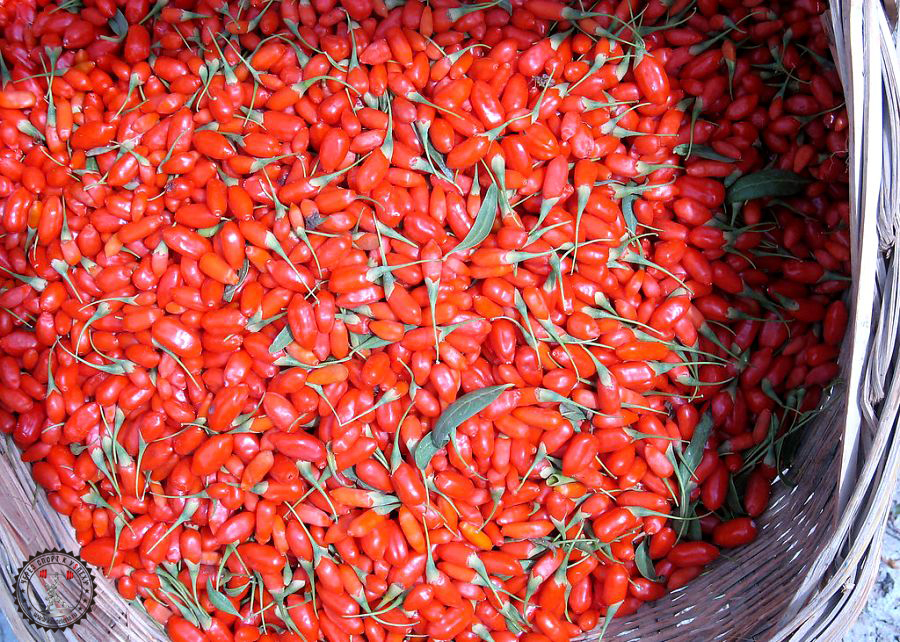 Ягоды Годжи