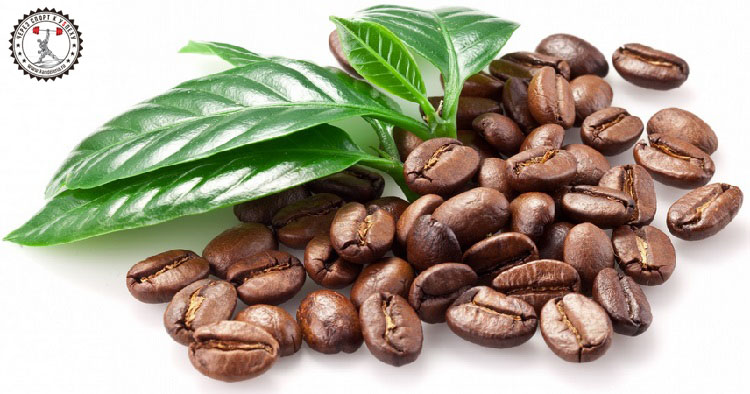 обертывание для похудения живота и боков