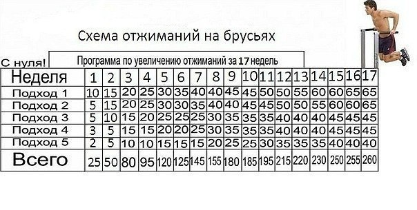 схема отжиманий на брусьях