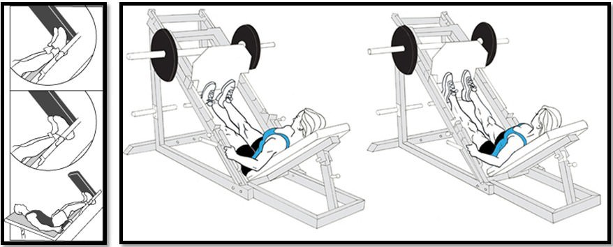 Жим носками в тренажере