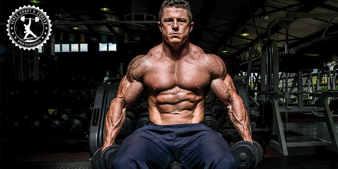 Программа тренировок спина/плечи