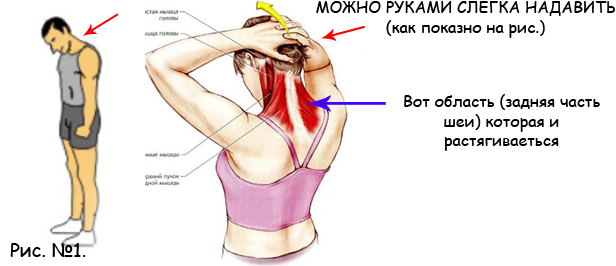 Растяжение