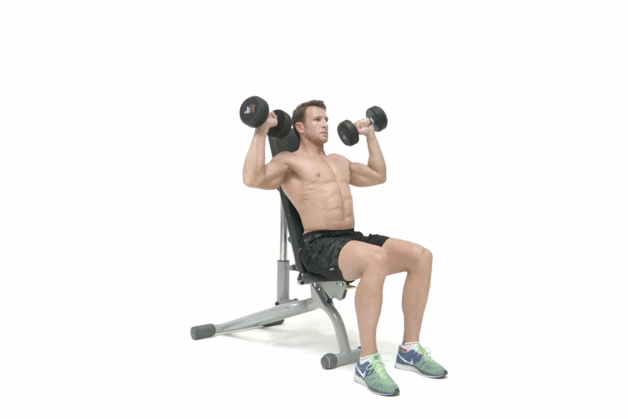 Упражнения с гантелями