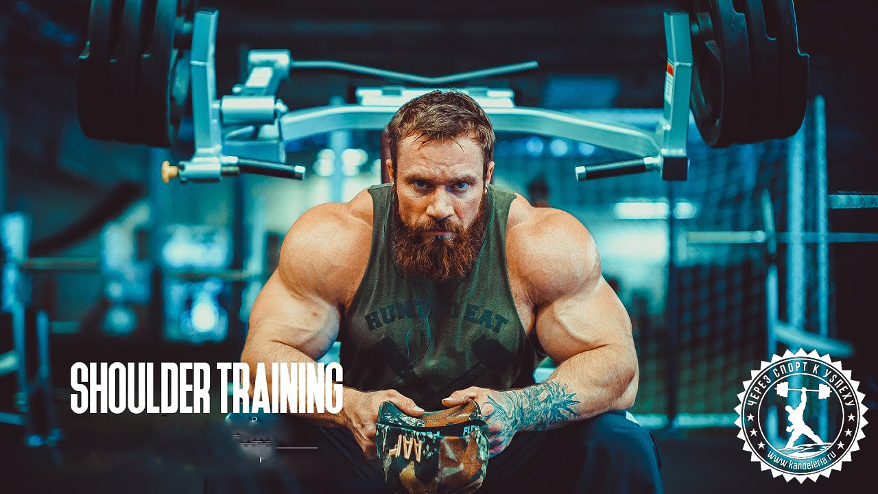 Упражнения на заднюю дельту плеча: комплекс упражнений в тренажерном зале и домашних условиях