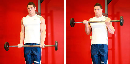 Подъем штанги на бицепс стоя
