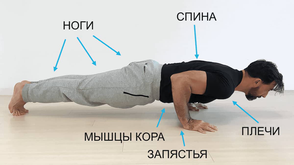 Какие мышечные группы качаются при отжиманиях от пола