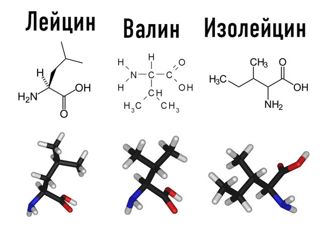 Идеальное соотношение основных компонентов