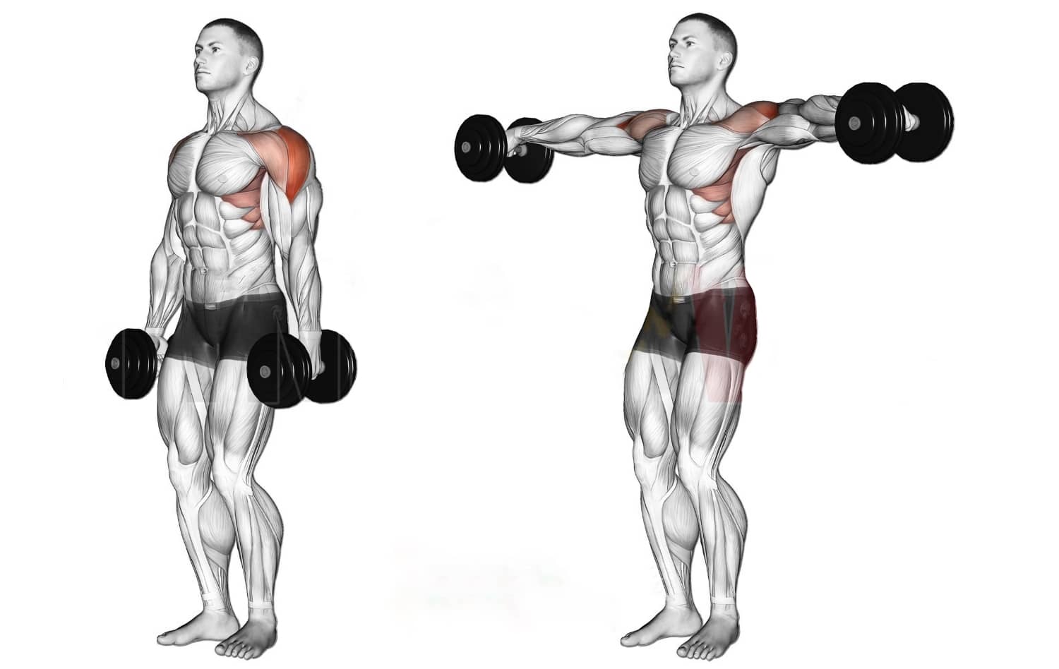Боковые подъемы гантелей