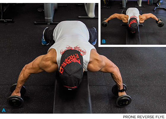 Махи гантелями на задние дельты лежа на скамье