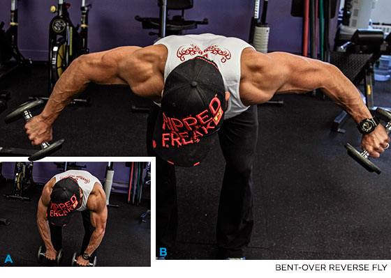 Махи гантелями или разведение гантелей в наклоне