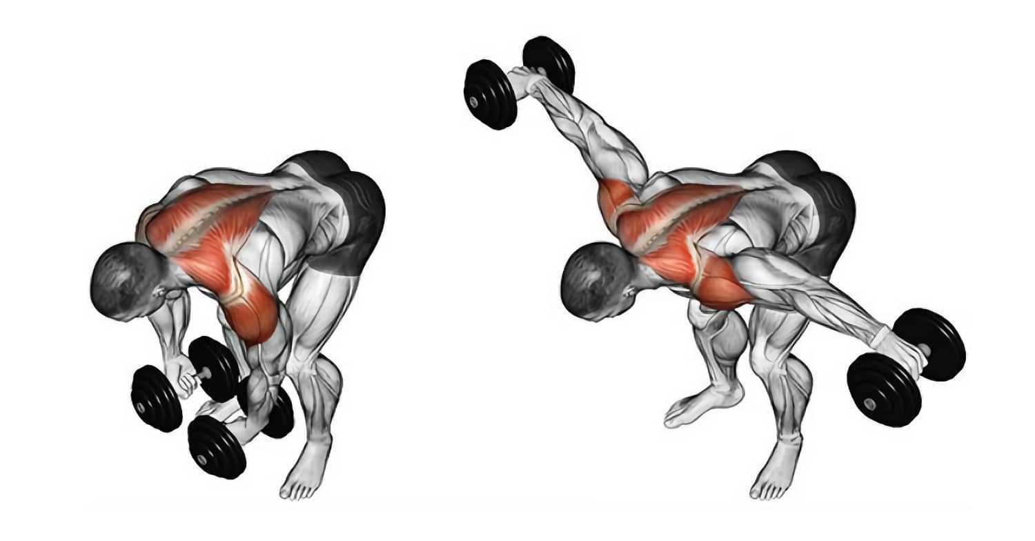 Махи гантелями в наклоне