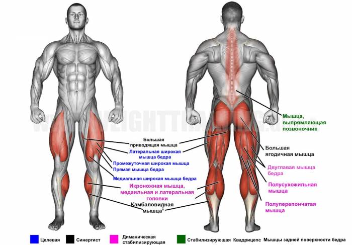 Что такое болгарские сплит приседания и зачем их нужно делать
