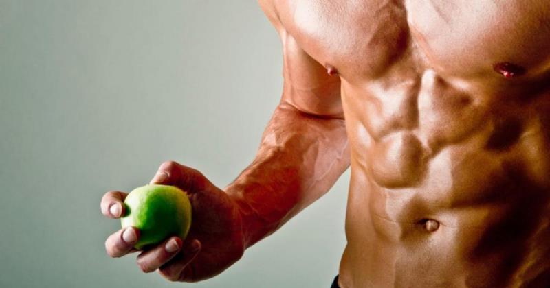 Обмен веществ