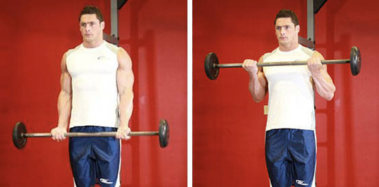 Сгибания рук со штангой стоя