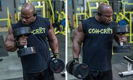 Подъем гантелей молотковым хватом