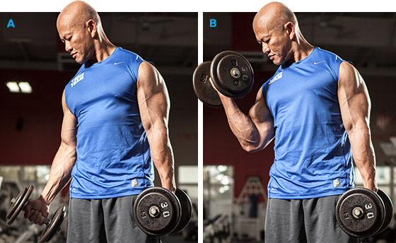 Попеременный подъем гантелей на бицепс стоя