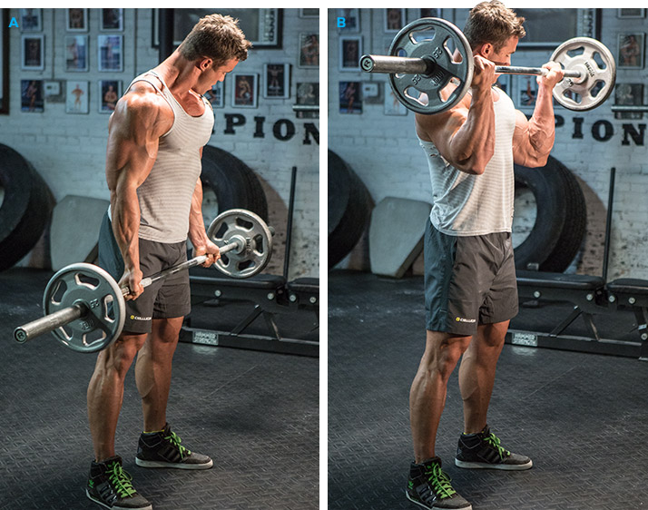 Подъем штанги на бицепс стоя
