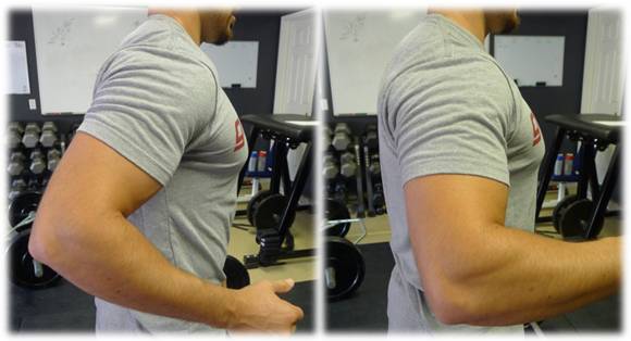 положение плеч