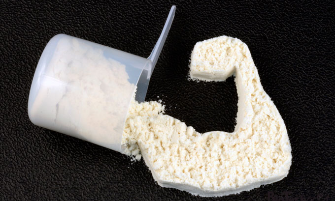 Порошковый протеинв