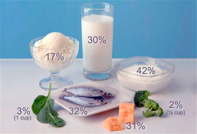 Продукты в которых много кальция