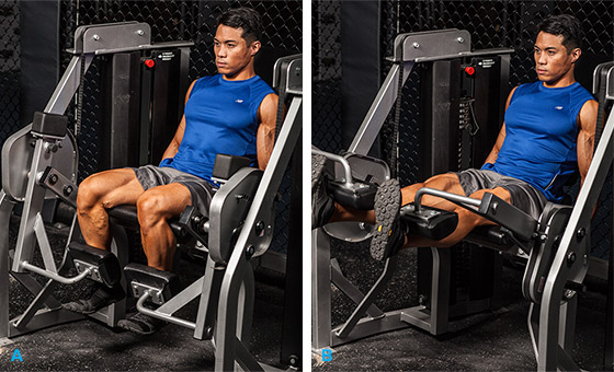 Разгибание ног в тренажере