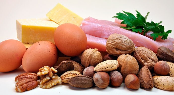 источники белка