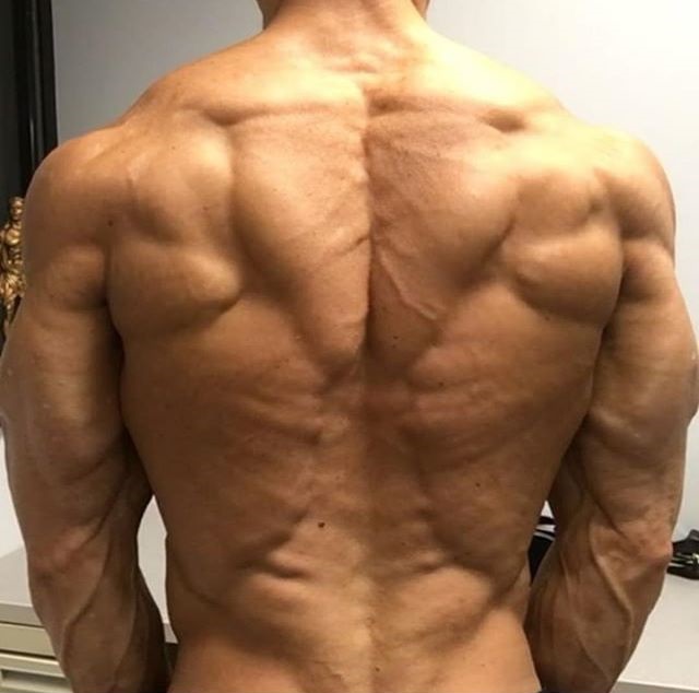 Рельефная спины